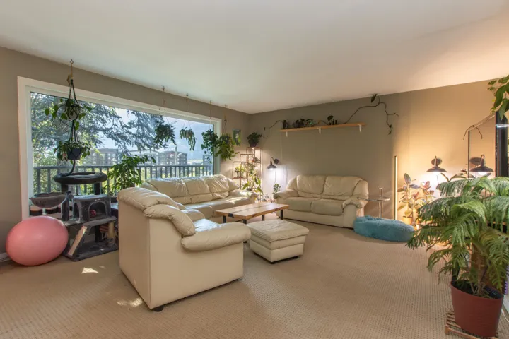 Living area featuring carpet floors
