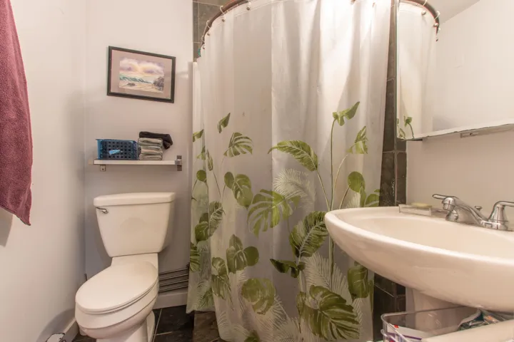 Full bathroom with toilet, a shower with curtain, and a sink