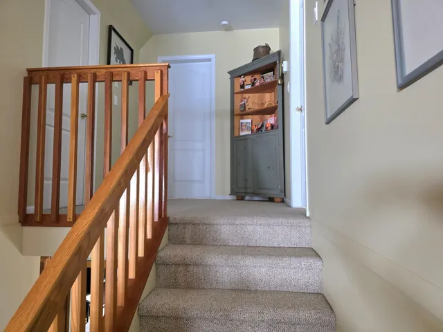 Stairs featuring carpet floors
