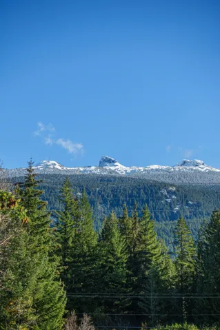 Property view of mountains featuring a forest view