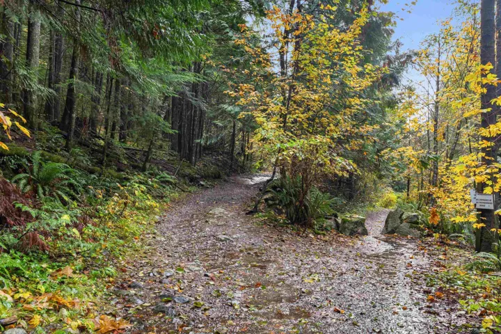 Endless forest trails at your door step