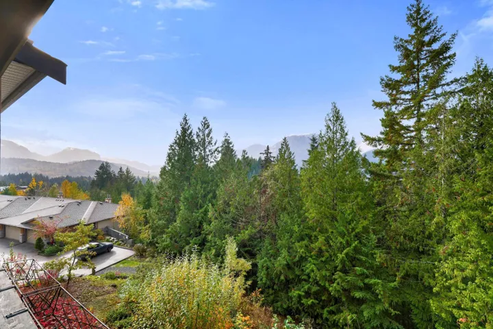 View of mountain backdrop featuring a heavily wooded area
