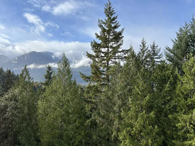Private mountain view with a forest