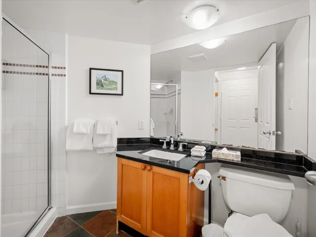 Bathroom with toilet, a stall shower, and vanity