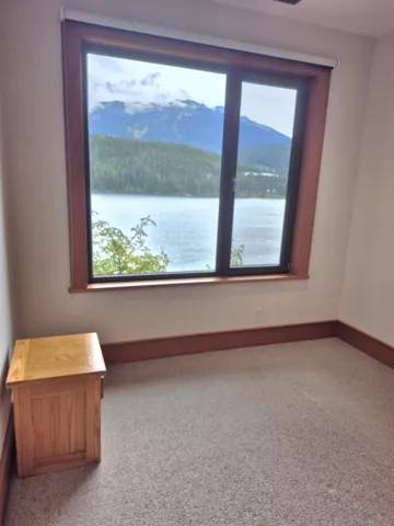 Unfurnished room with light carpet and a water view