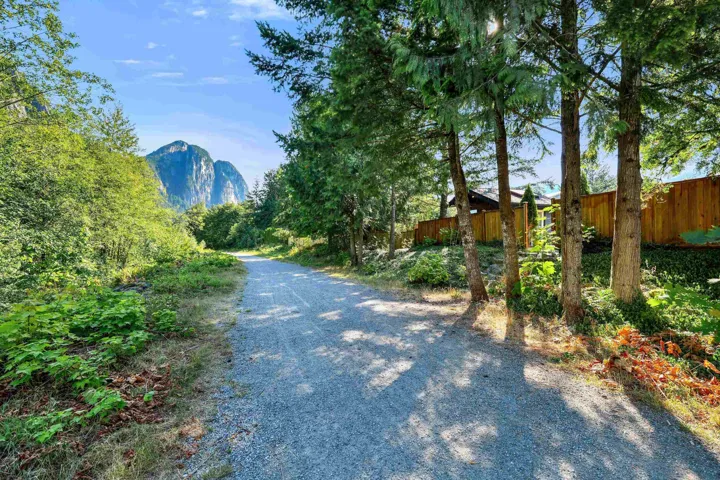 Gravel path bordered by mature trees and lush greenery, featuring a natural wood privacy fence