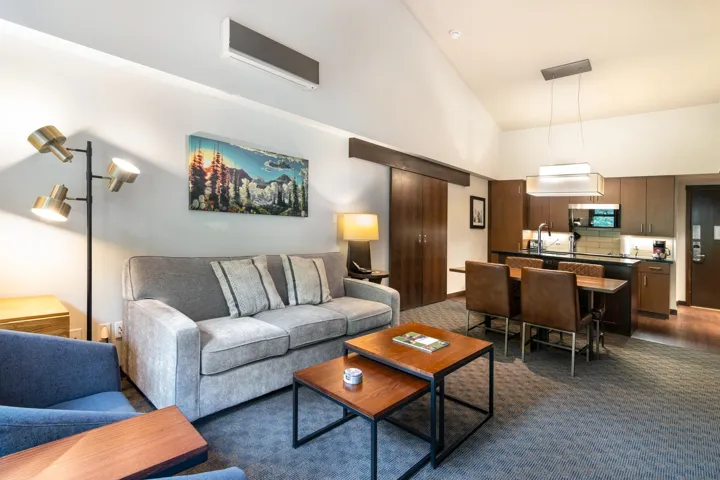 Living room featuring dark carpet and high vaulted ceiling