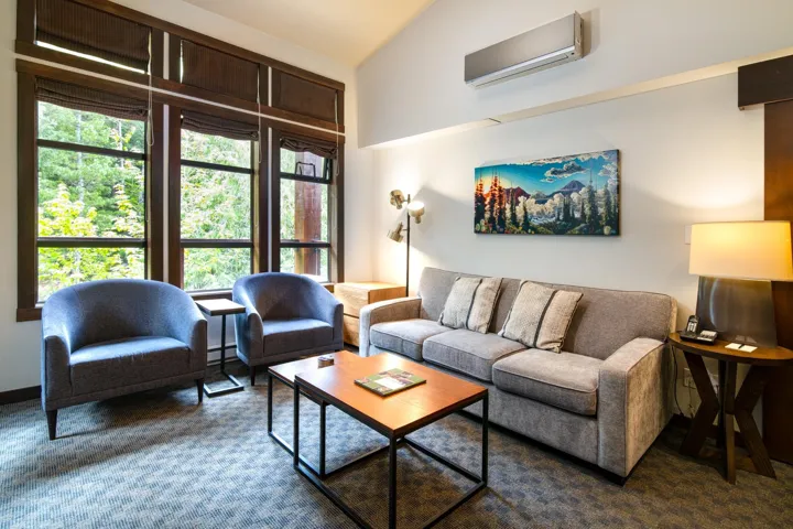 Carpeted living room featuring a wall mounted AC, baseboard heating, healthy amount of natural light, and lofted ceiling