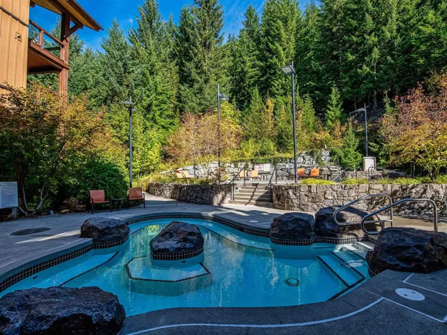 Outdoor pool featuring a wooded view and a patio