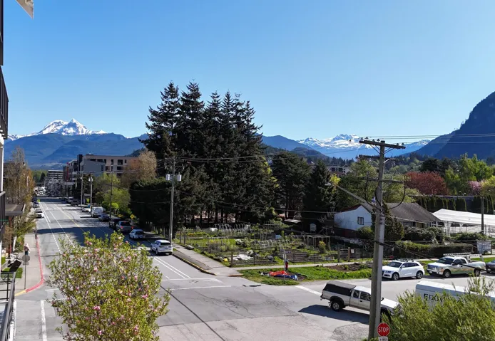 Expansive mountain backdrop featuring snow-capped peaks and evergreen forests