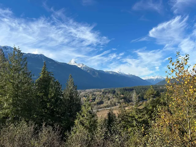 Mountain view with a heavily wooded area