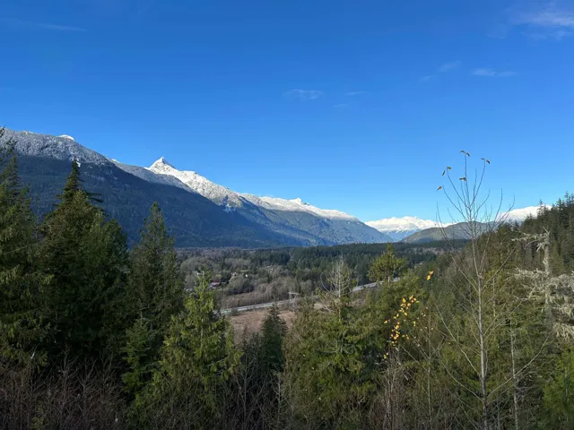 View of mountain backdrop featuring a forest