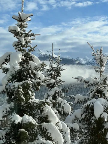 View of mountain background