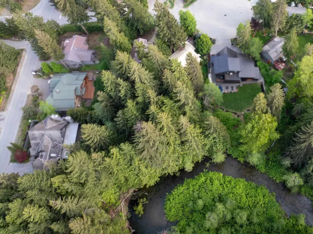 Aerial perspective showcasing a property surrounded by mature evergreen trees