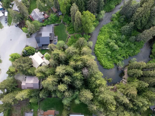 Aerial perspective showcasing a verdant landscape with dense tree coverage