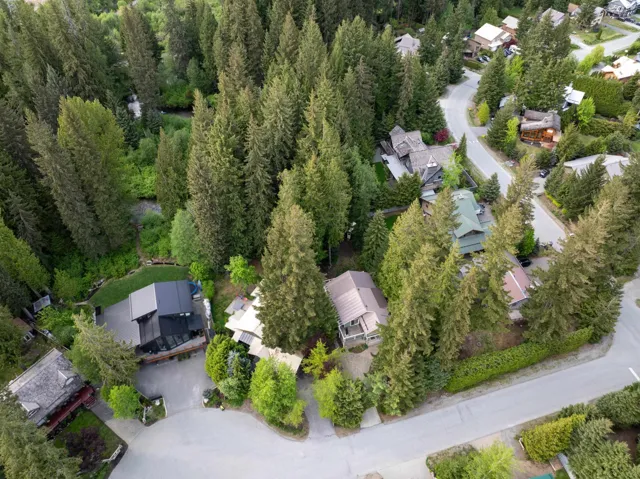 Modern contemporary residence featuring a dark-toned exterior and a dark roof, surrounded by mature evergreen trees