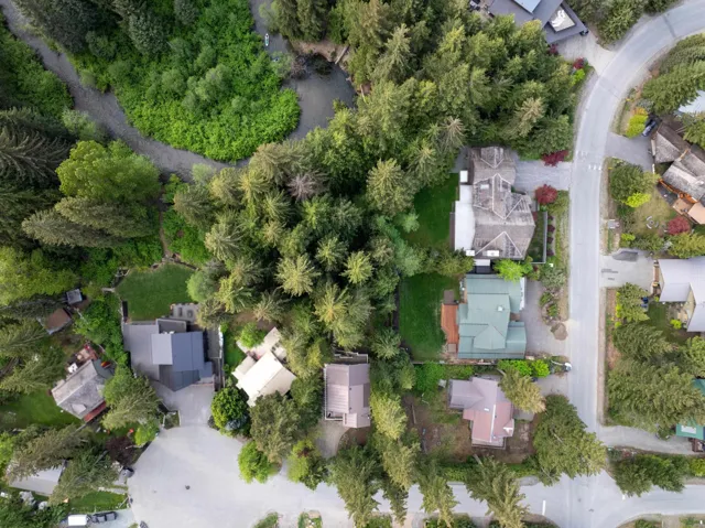 Aerial overview of a residential area characterized by dense tree coverage and a meandering natural waterway
