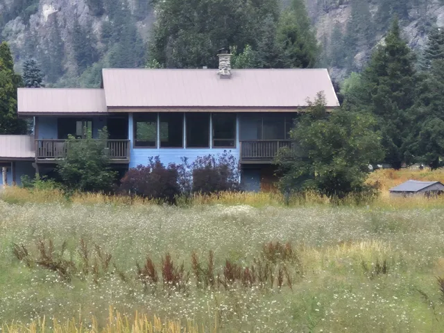 Back of house featuring a metal roof, a forest view, and a chimney