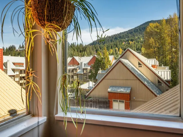 Mountain view with a heavily wooded area