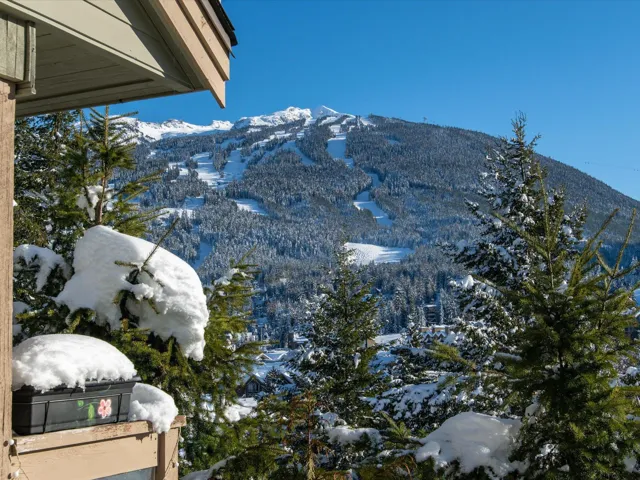 Mountain view