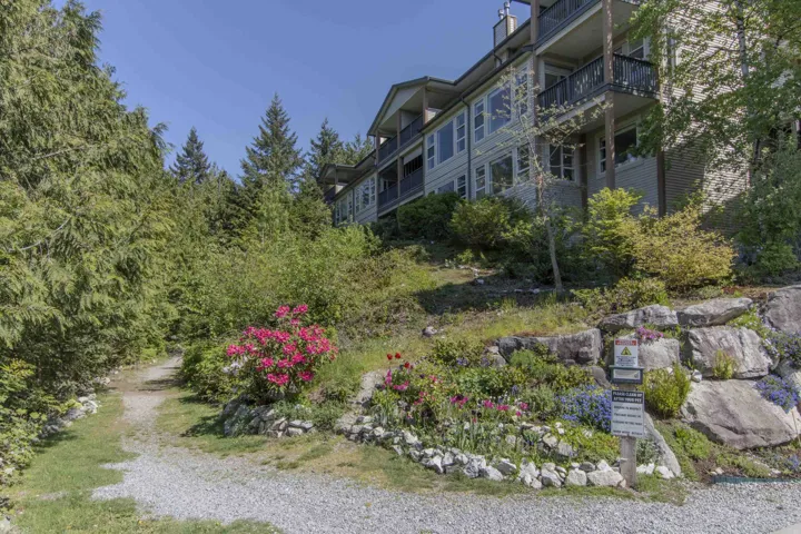 Multiple residential structures nestled into a hillside, surrounded by abundant evergreen trees and distant mountains