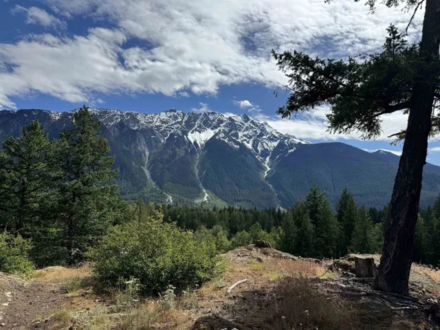 Mountain view featuring a heavily wooded area