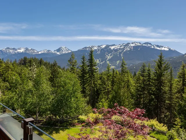 View of mountain backdrop with a forest