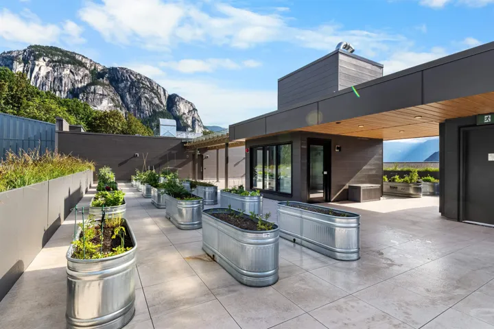 Rooftop patio with large format pavers, numerous galvanized steel planters, and perimeter landscaping