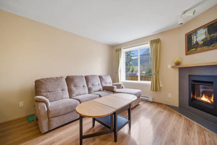 Living room featuring a glass covered fireplace, wood finished floors, and a baseboard radiator