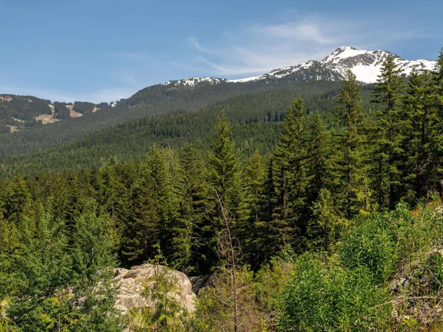 View of mountain backdrop featuring a forest