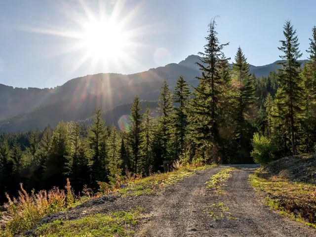 View of mountain background with a heavily wooded area