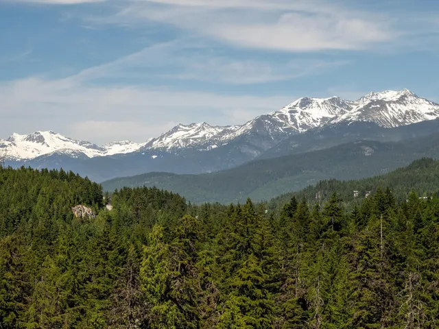 Mountain view with a forest