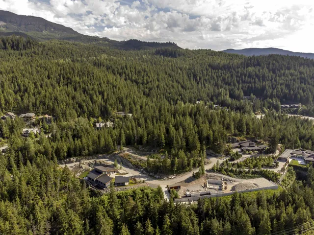 Aerial overview of property's location with a heavily wooded area and a mountainous background
