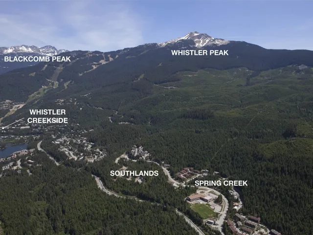 Mountain view with a heavily wooded area