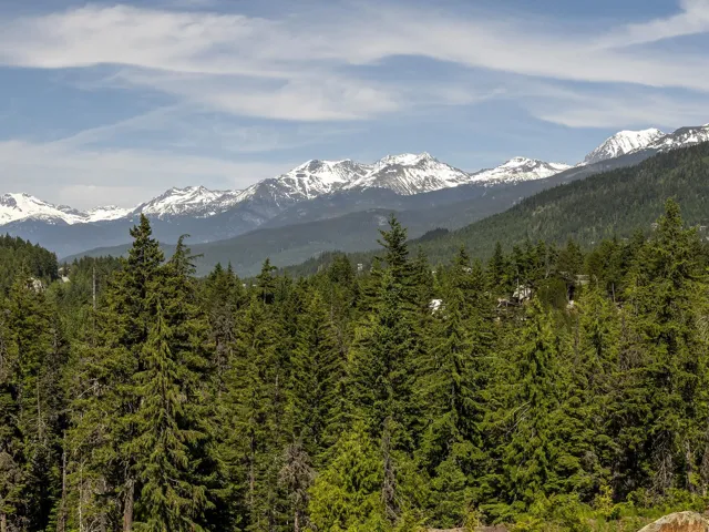 View of mountain background featuring a forest