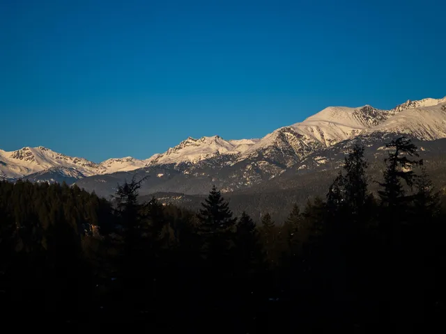 View of mountain backdrop featuring a heavily wooded area
