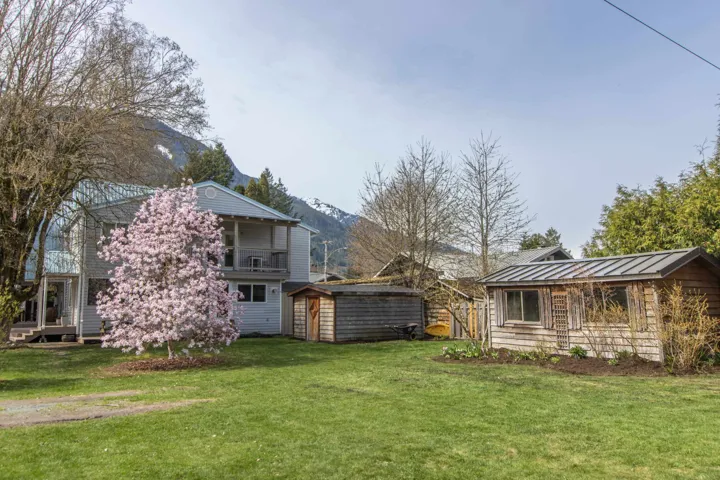 View of grassy yard