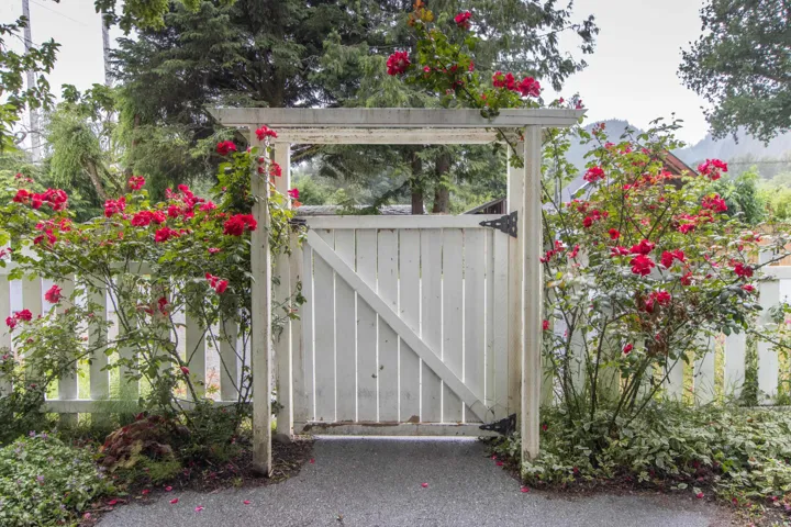 Main entrance gate