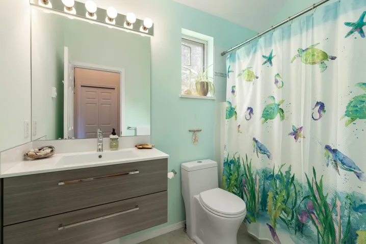 Bathroom with vanity and a shower with curtain