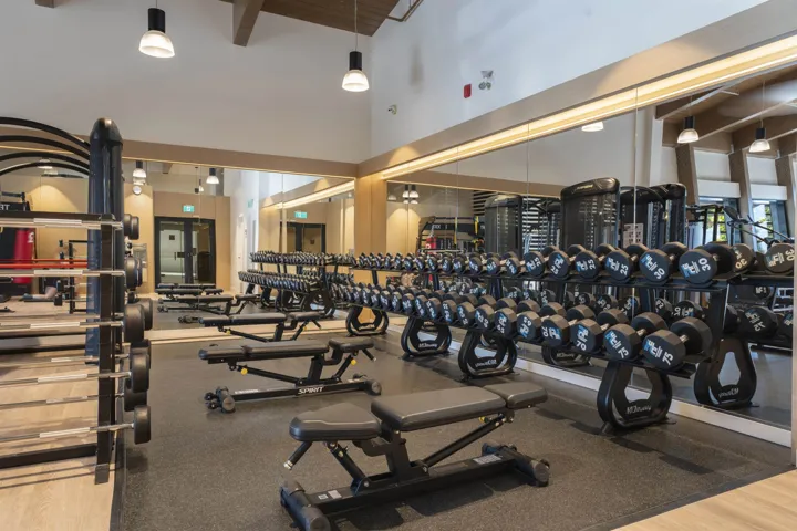 Dedicated fitness center featuring extensive dumbbell racks, multiple weight benches, robust rubber flooring, full-height wall mirrors, and recessed ceiling lighting