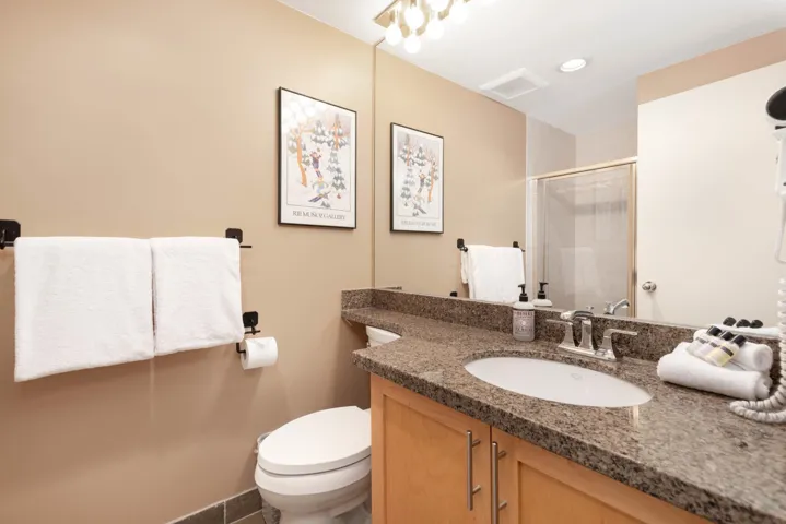Full bathroom featuring vanity, a shower stall, and toilet