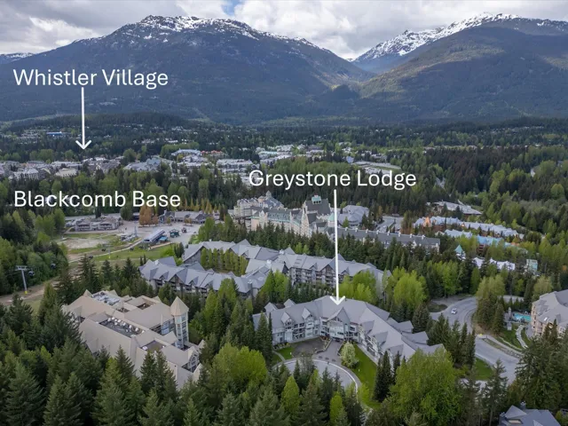 Aerial overview of property's location with mountains and a forest