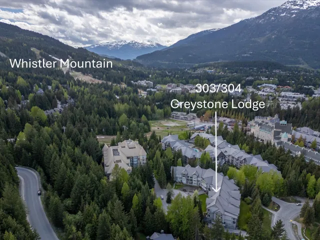 Aerial view of property's location with a mountainous background and a forest