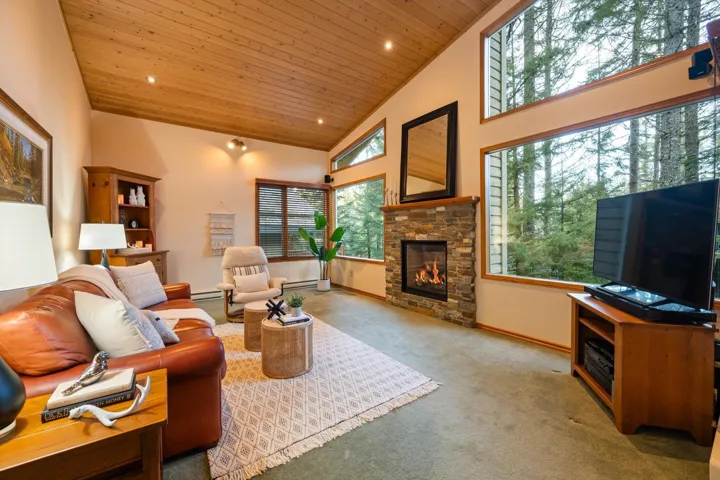 Living room featuring a vaulted wood ceiling, light carpet, recessed lighting, a fireplace, and a baseboard heating unit