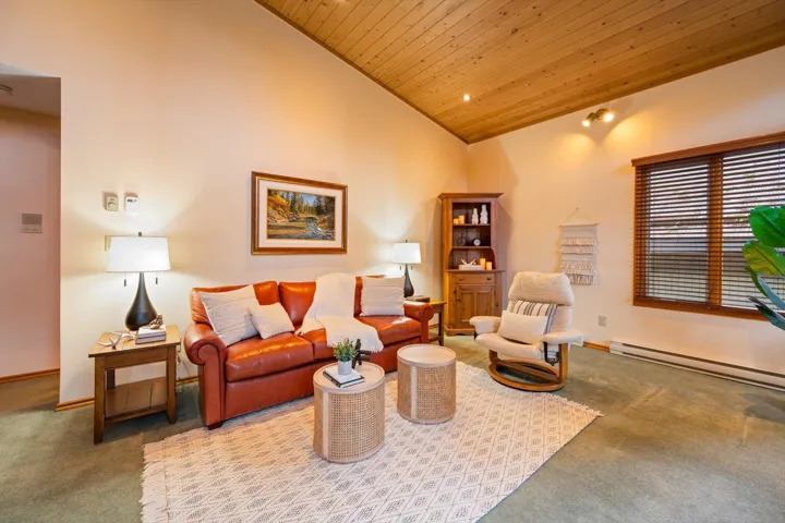 Living room featuring carpet, a vaulted wood ceiling, and a baseboard heating unit