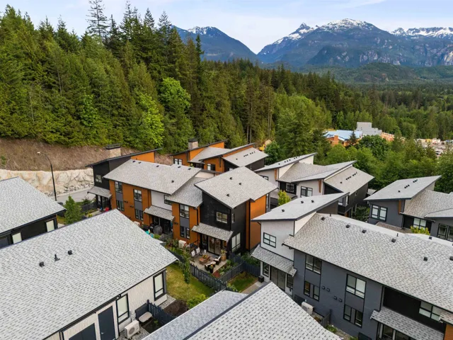 Aerial view of residential area featuring a heavily wooded area and a mountain backdrop