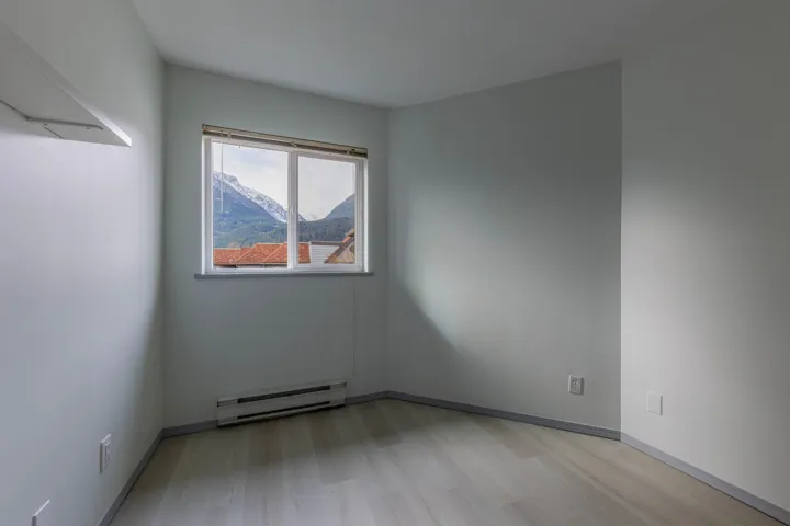 Empty room with baseboard heating, light wood-type flooring, and a mountain view