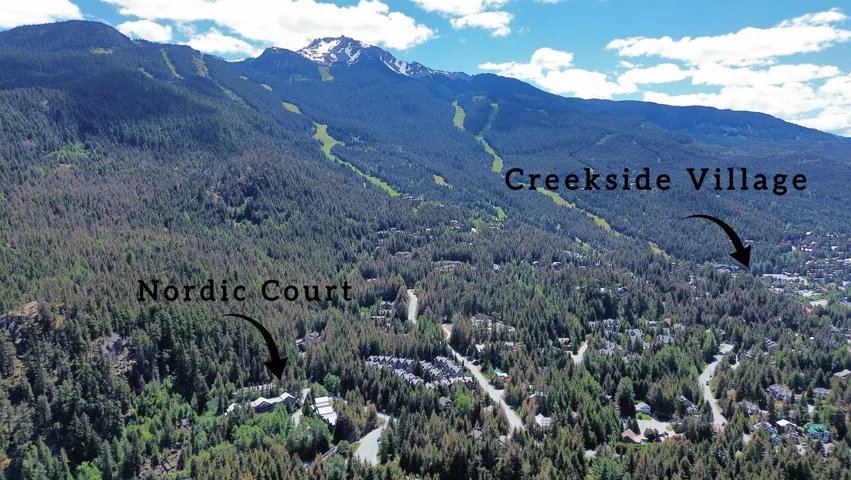 Aerial perspective of a mountain landscape featuring a forested valley with residential areas