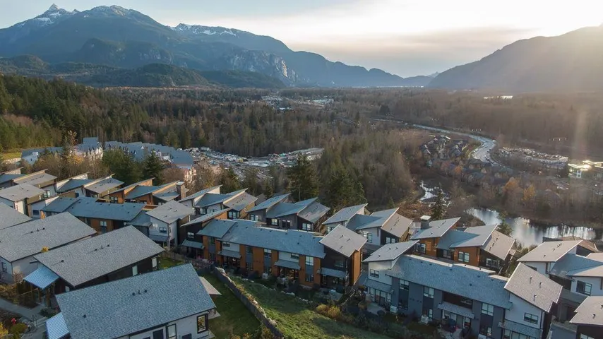 Aerial perspective of suburban area featuring a mountain backdrop and a forest