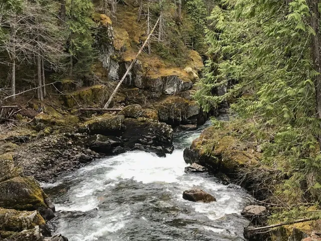 View of local wilderness